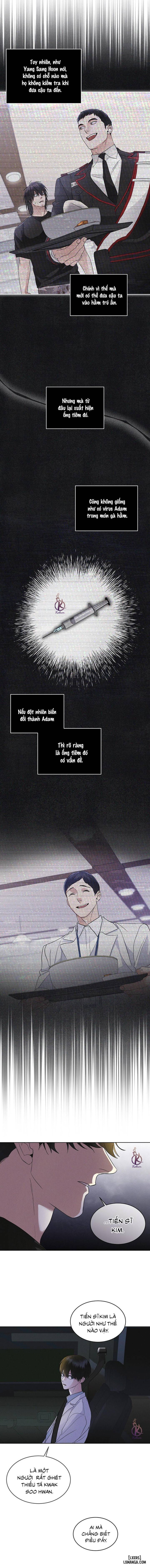 Thành phố cầu vồng 