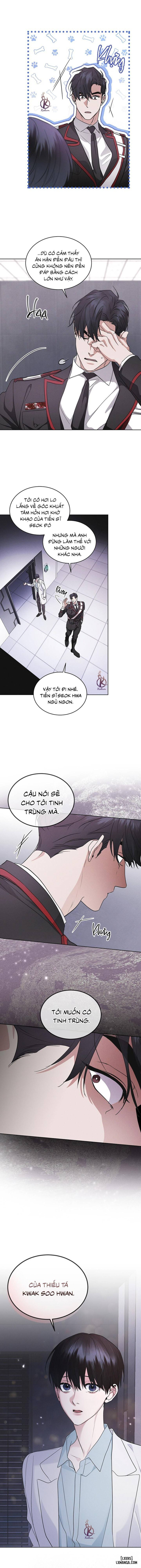 Thành phố cầu vồng 