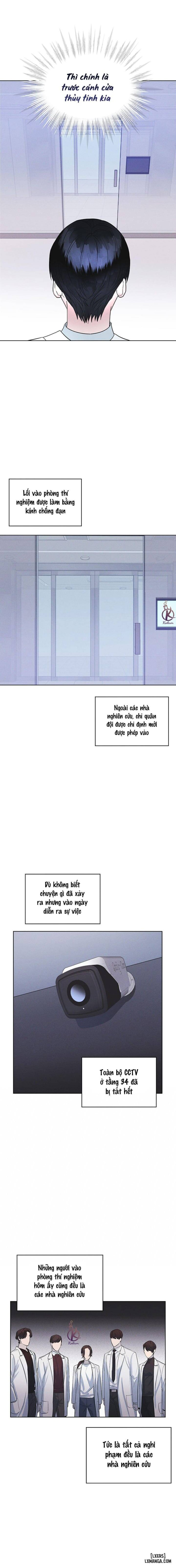 Thành phố cầu vồng 