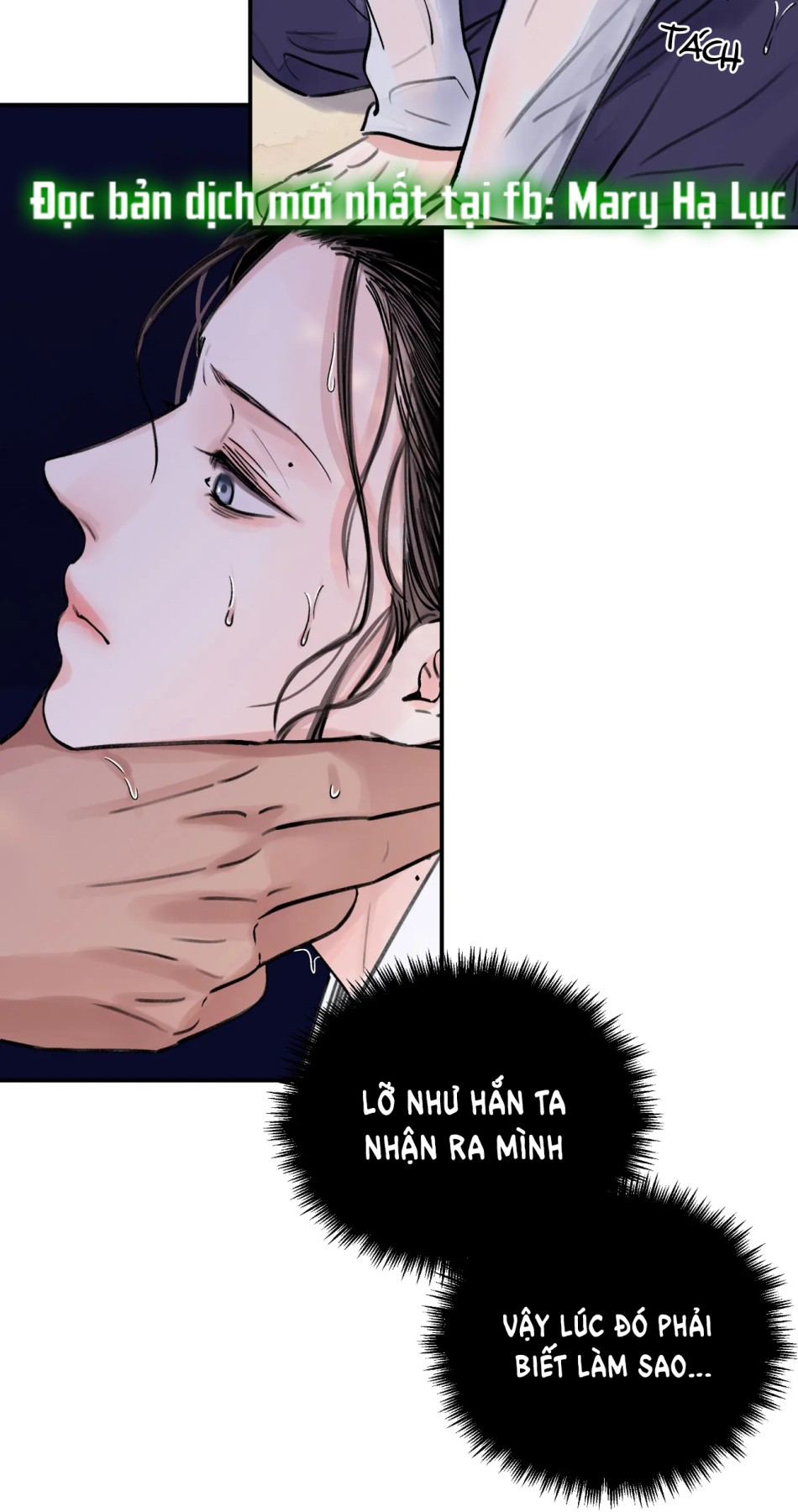 [18+] TRƯỢNG KIẾM TỰA HOA 