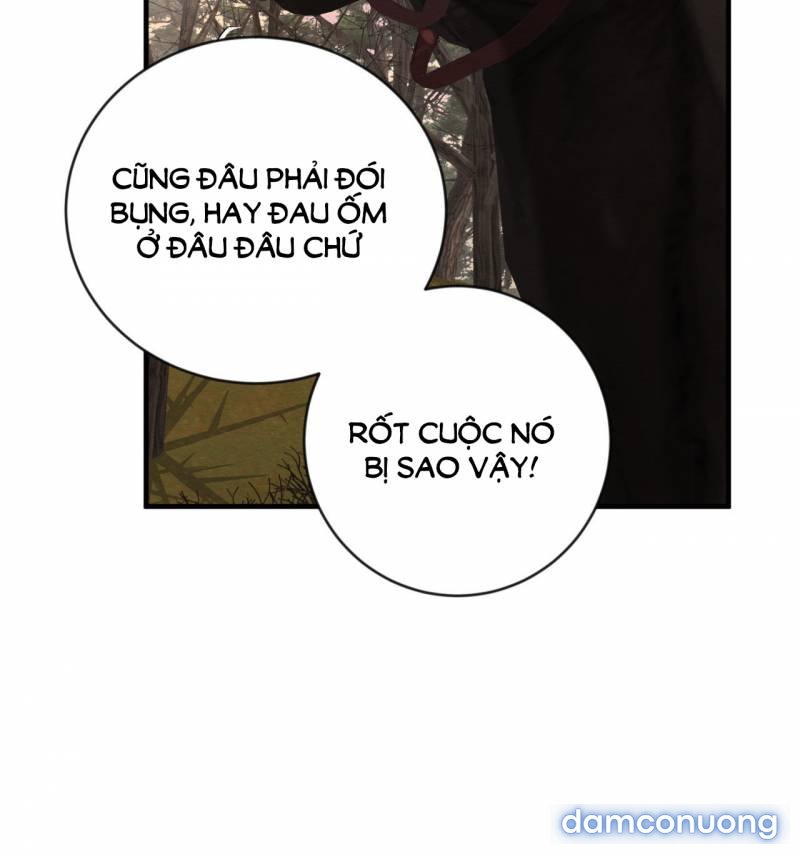 Dạ Ký 