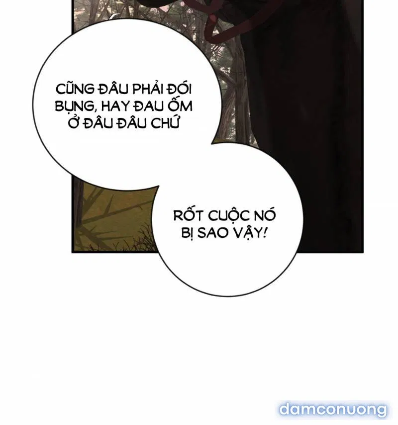 Dạ Ký 
