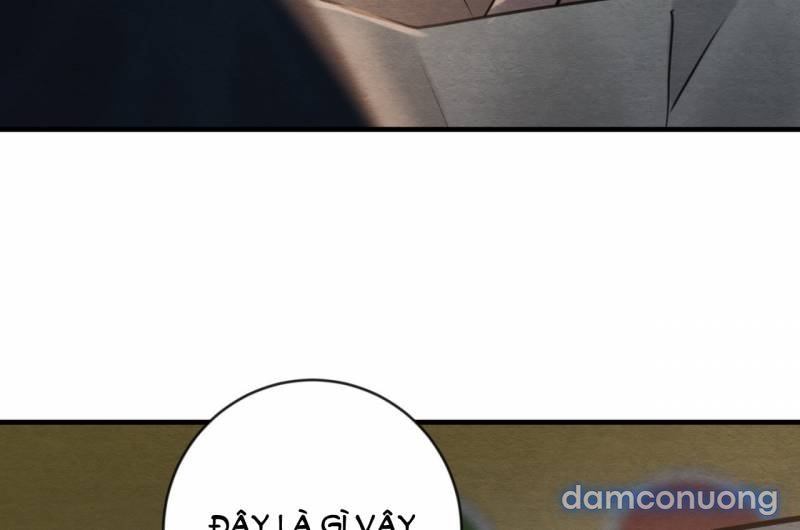 Dạ Ký 