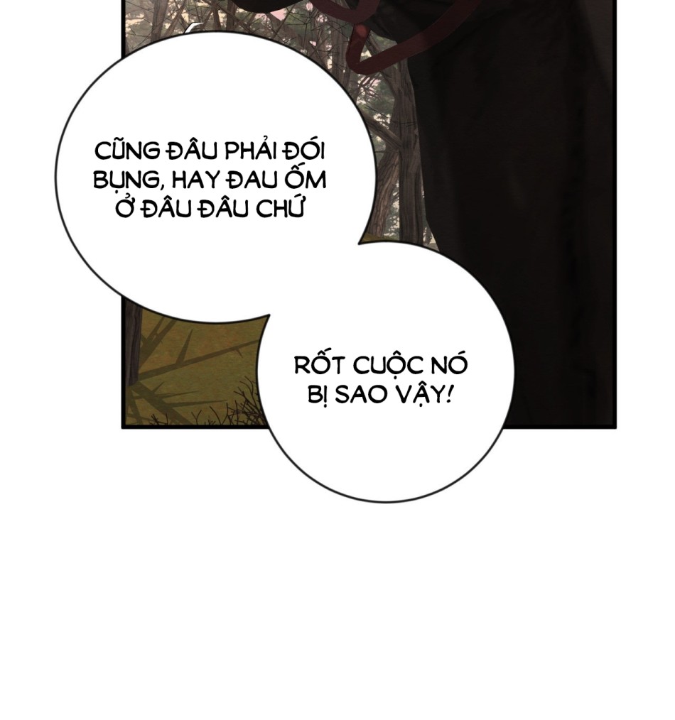 Dạ Ký 