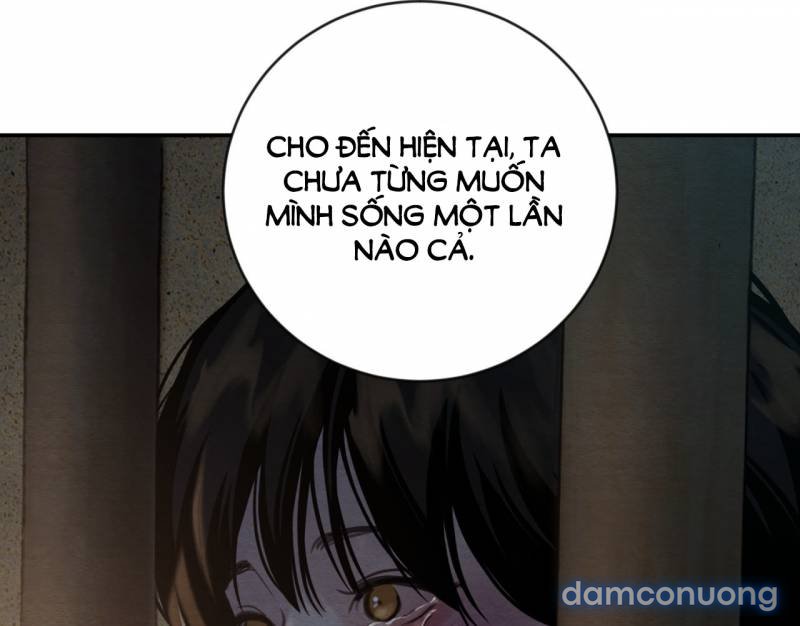 Dạ Ký 