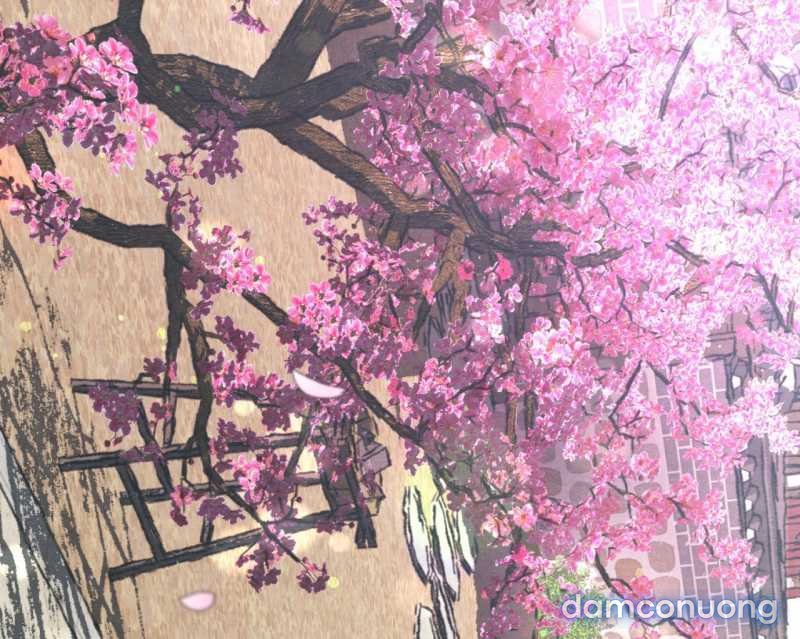 Dạ Ký 