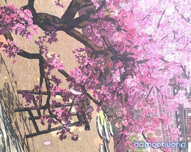 Dạ Ký 
