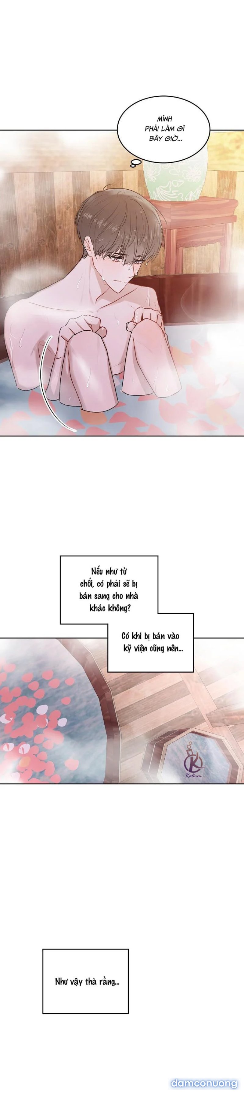 Dạ Ký 