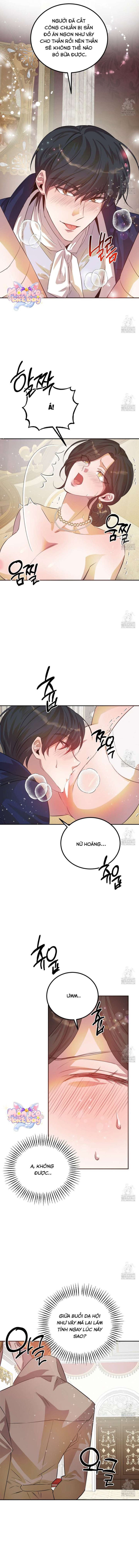 [18+] Hậu Cung Của Nữ Hoàng 