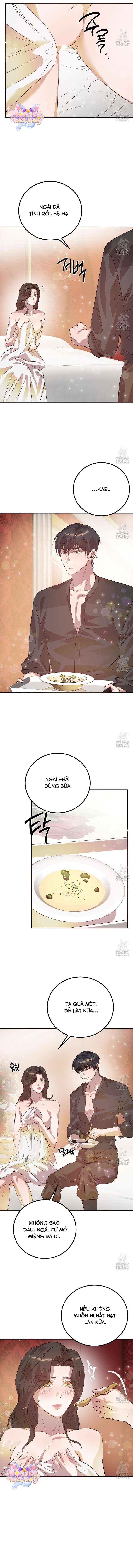 [18+] Hậu Cung Của Nữ Hoàng 