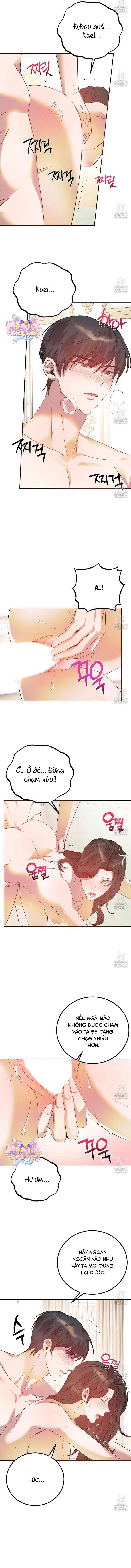 [18+] Hậu Cung Của Nữ Hoàng 