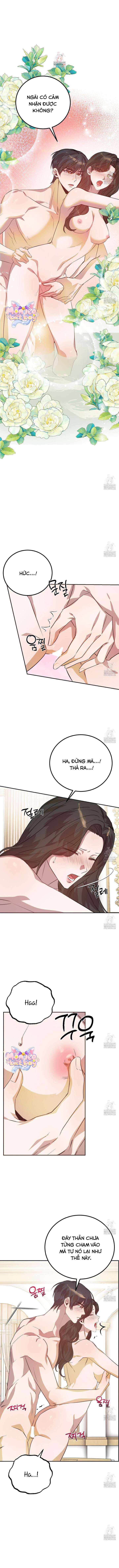 [18+] Hậu Cung Của Nữ Hoàng 
