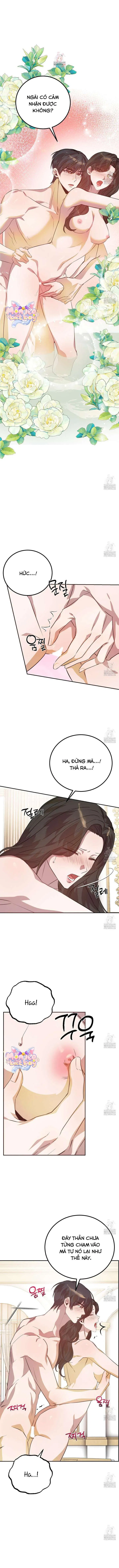 [18+] Hậu Cung Của Nữ Hoàng 
