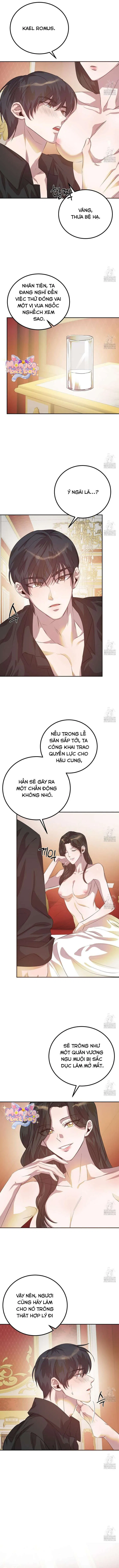 [18+] Hậu Cung Của Nữ Hoàng 