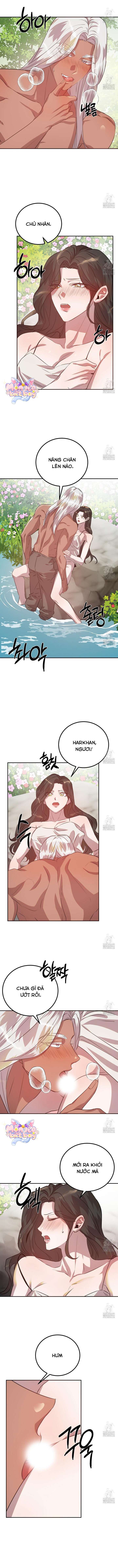 [18+] Hậu Cung Của Nữ Hoàng 