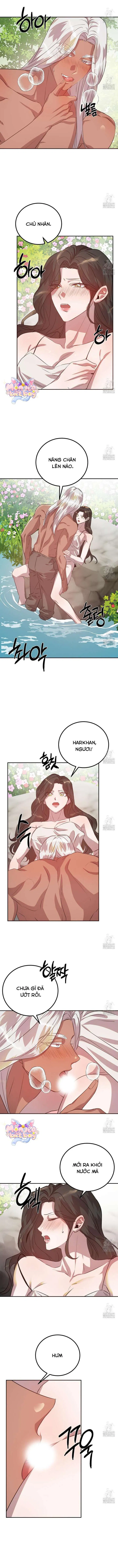 [18+] Hậu Cung Của Nữ Hoàng 
