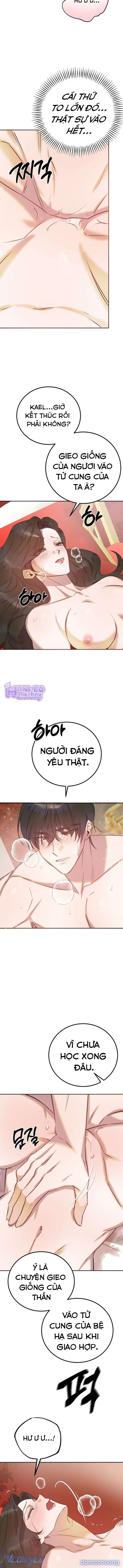 [18+] Hậu Cung Của Nữ Hoàng 