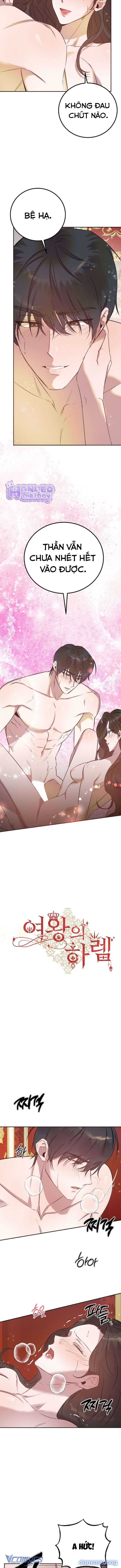 [18+] Hậu Cung Của Nữ Hoàng 