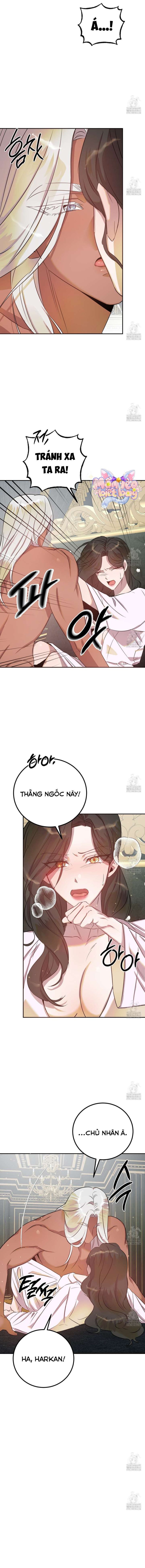[18+] Hậu Cung Của Nữ Hoàng 