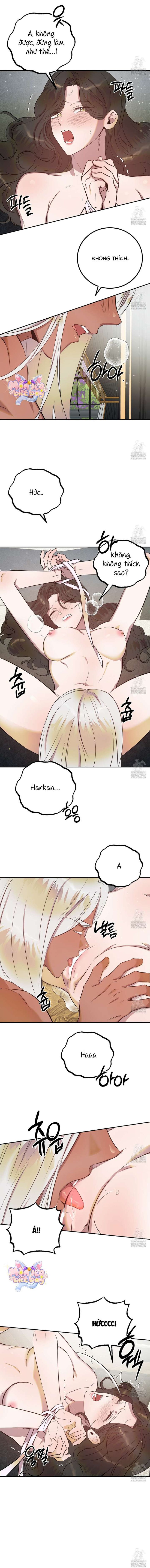 [18+] Hậu Cung Của Nữ Hoàng 
