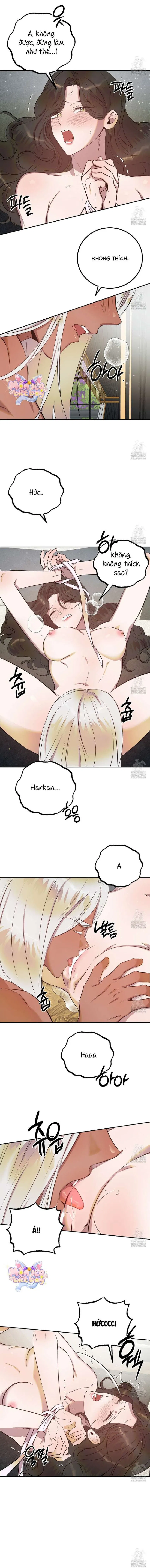[18+] Hậu Cung Của Nữ Hoàng 