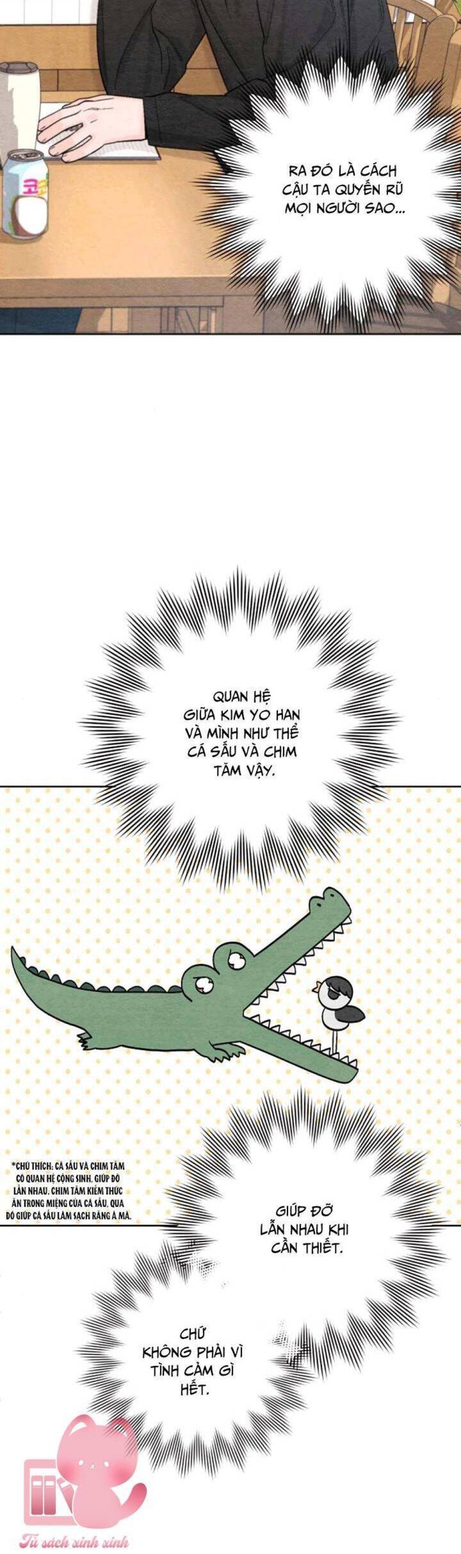 Bí Mật Thanh Xuân 