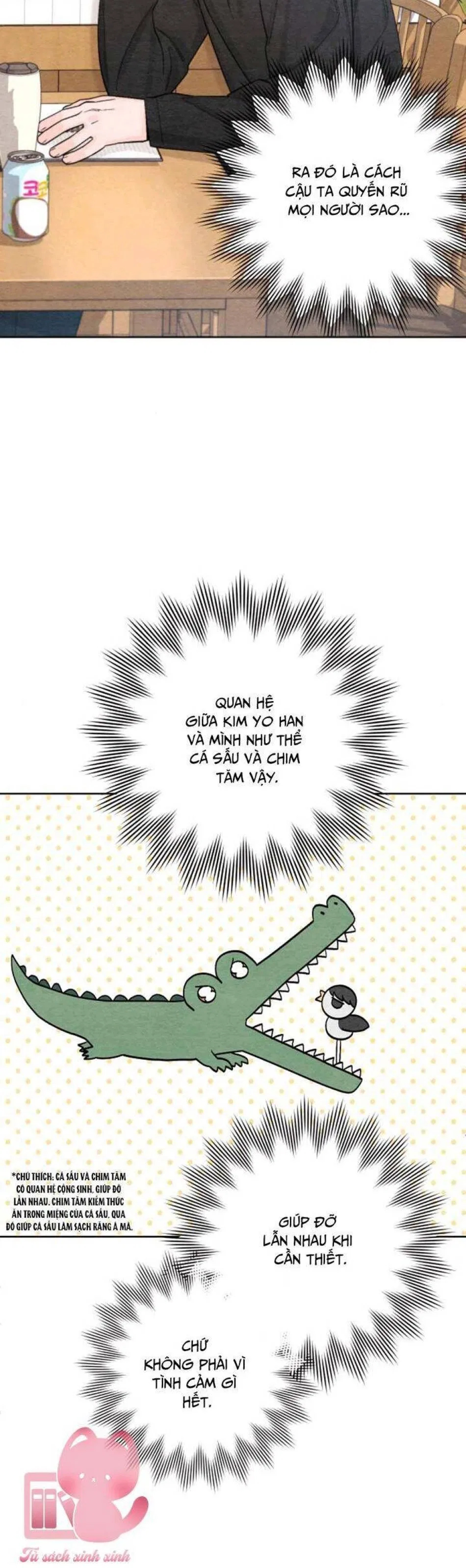 Bí Mật Thanh Xuân 