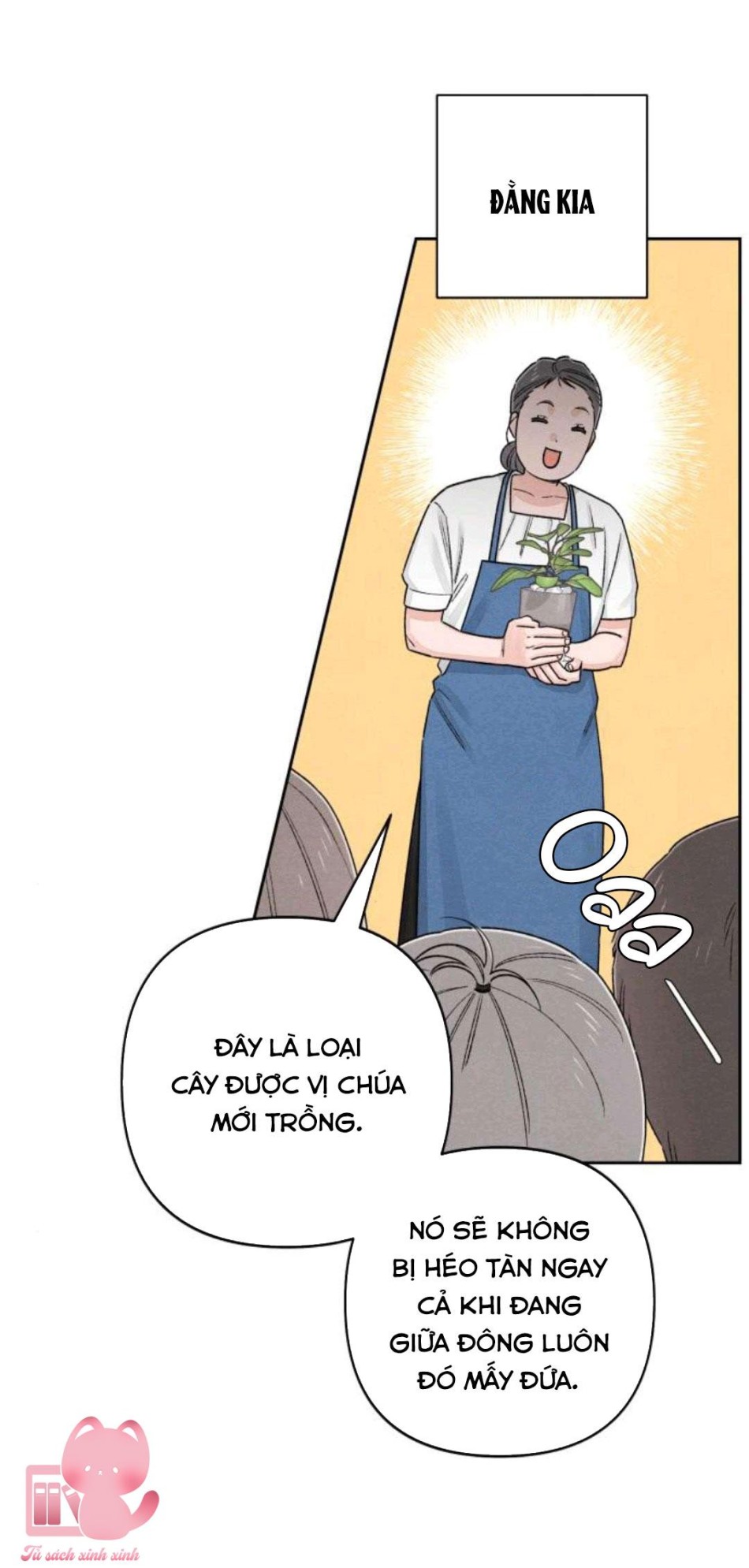 Bí Mật Thanh Xuân 