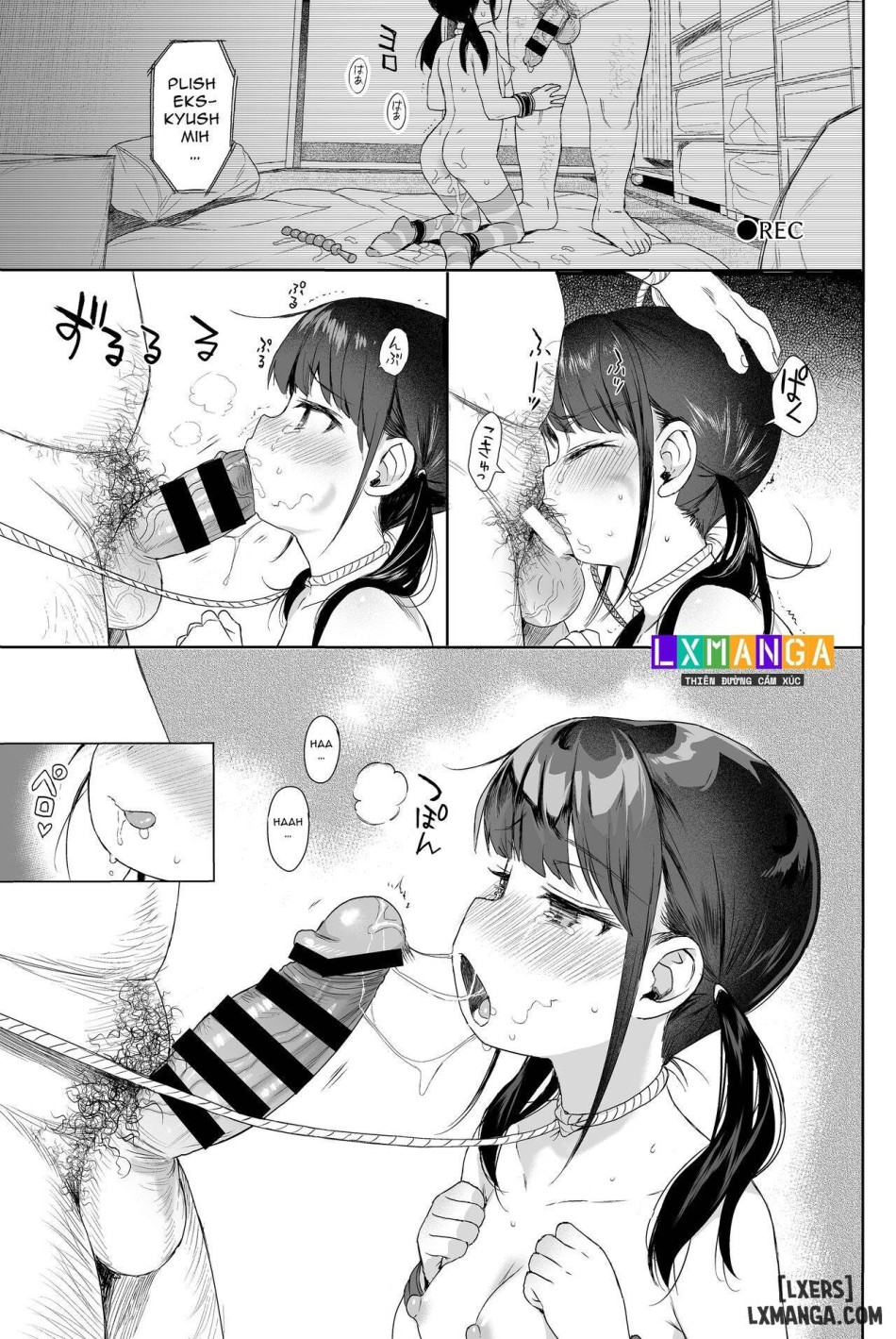 Seikyouiku Series Soushuuhen 