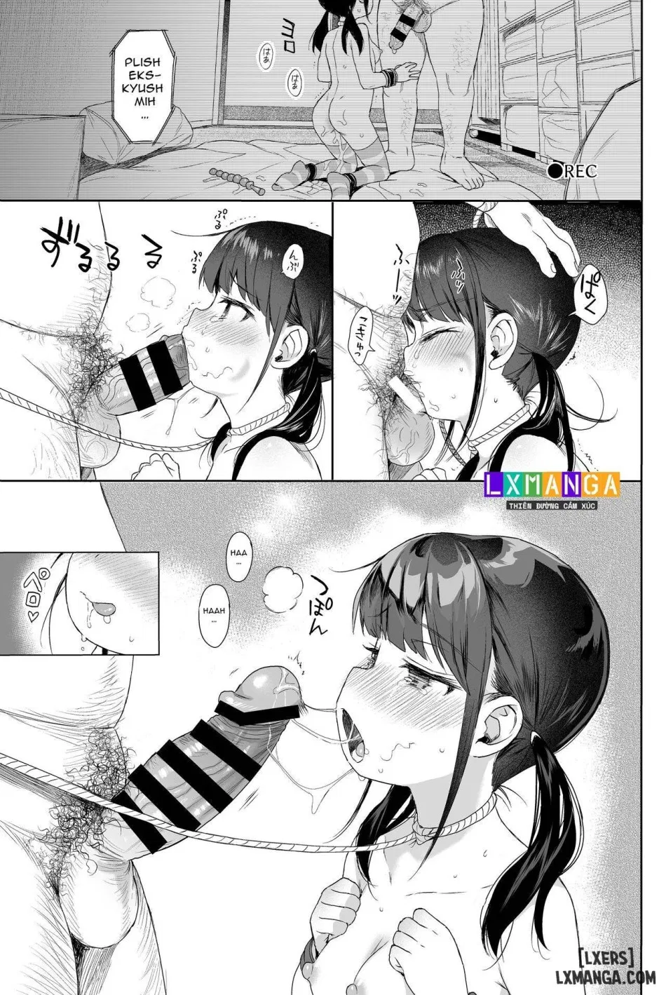 Seikyouiku Series Soushuuhen 