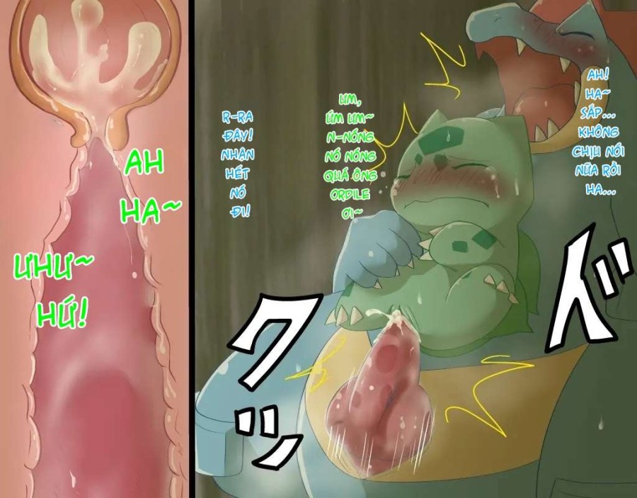 Fushigidane x Ordile 