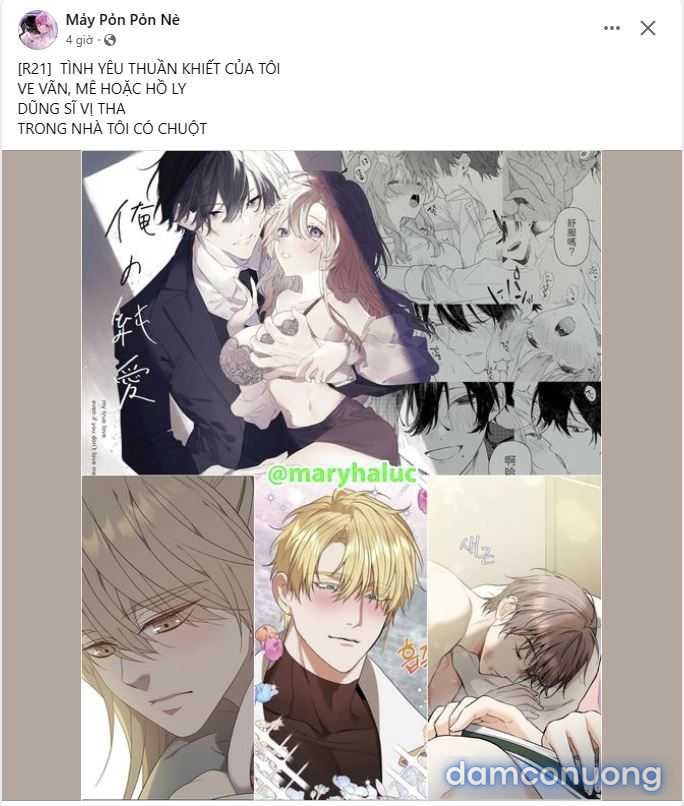 [18+] Hae Joo Của Tôi 