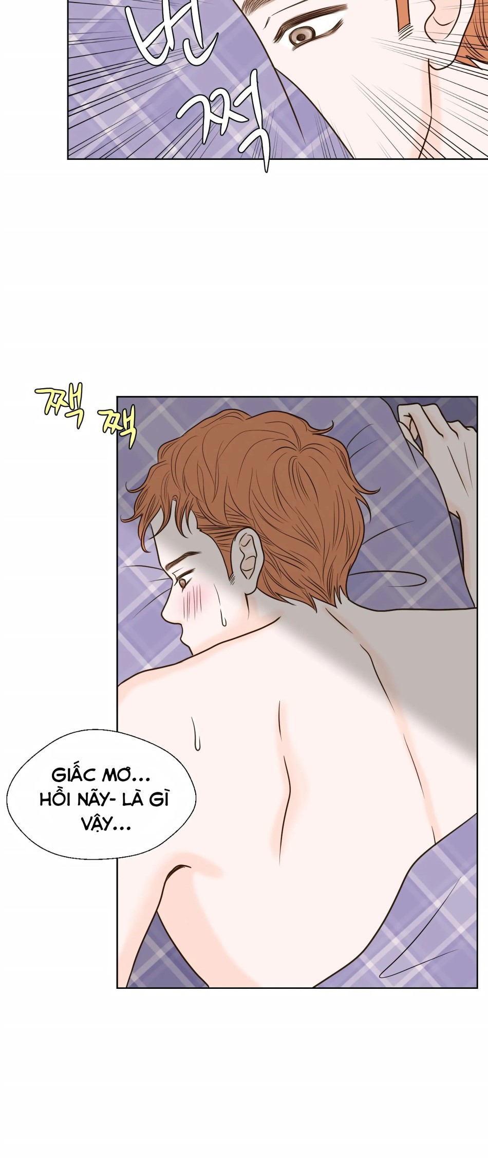 [18+] Giấc Mơ Của Dahae 