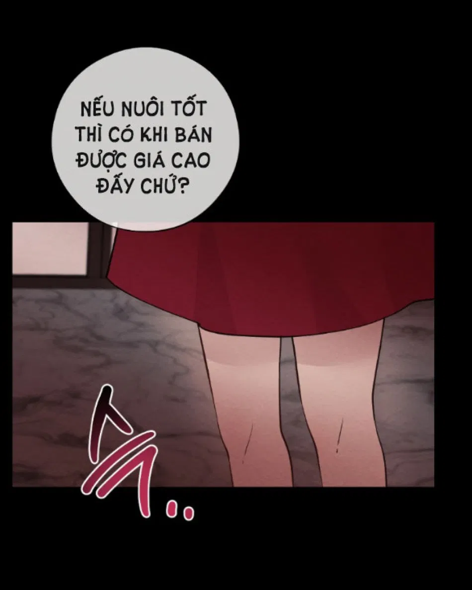 [18+] ĐÊM KHÔNG THỂ VÃN HỒI 