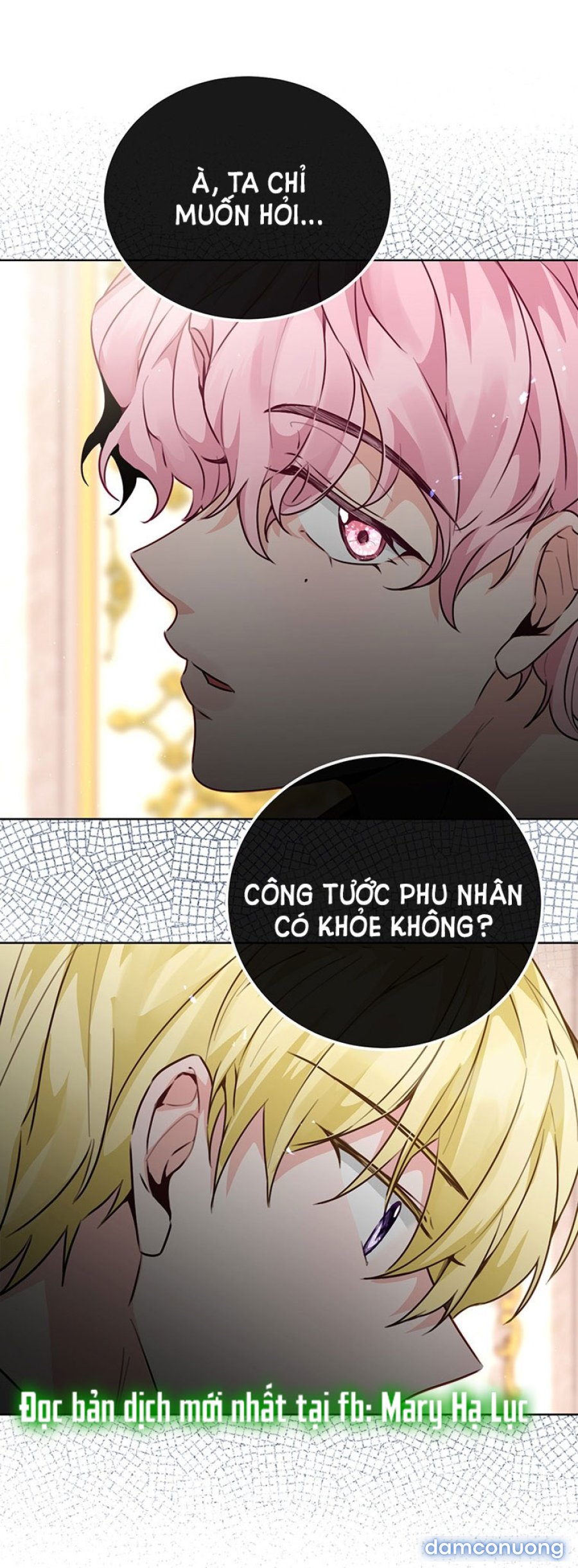 [18+] Đánh Cắp Trái Tim Tiểu Thư 