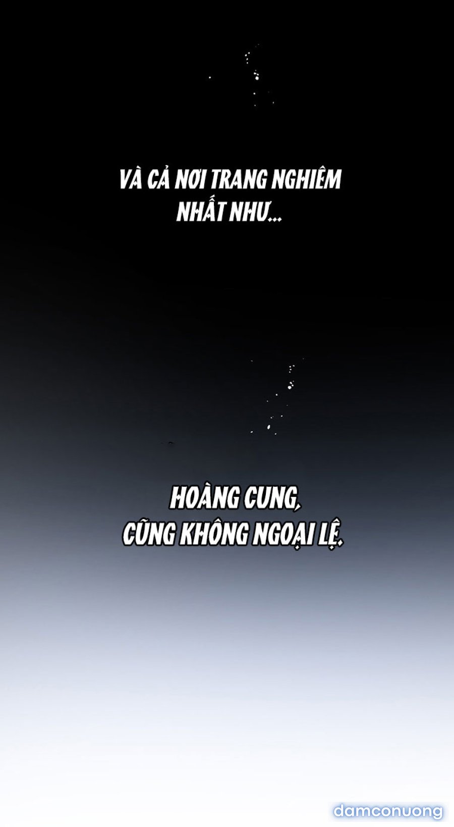 [18+] Đánh Cắp Trái Tim Tiểu Thư 
