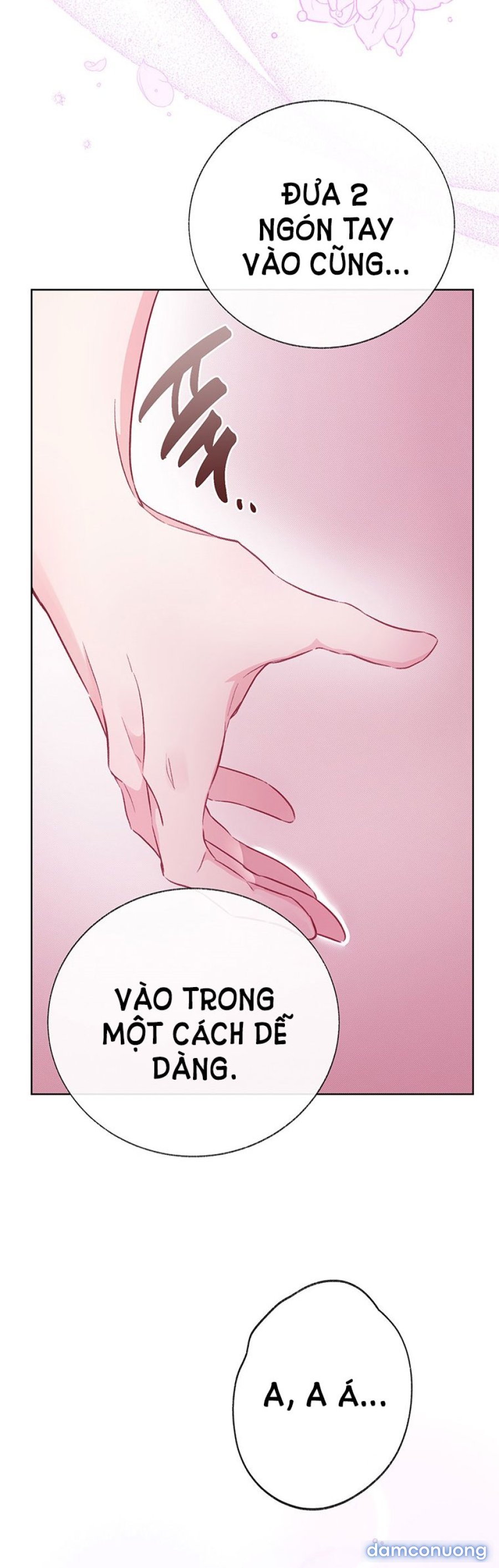[18+] Đánh Cắp Trái Tim Tiểu Thư 