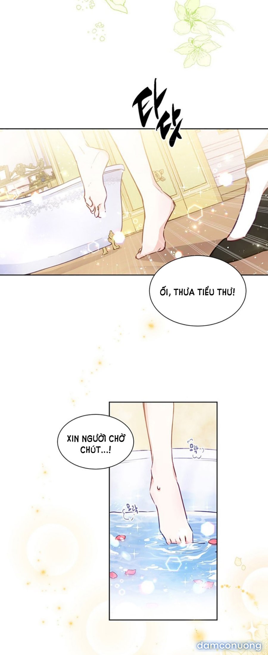 [18+] Đánh Cắp Trái Tim Tiểu Thư 