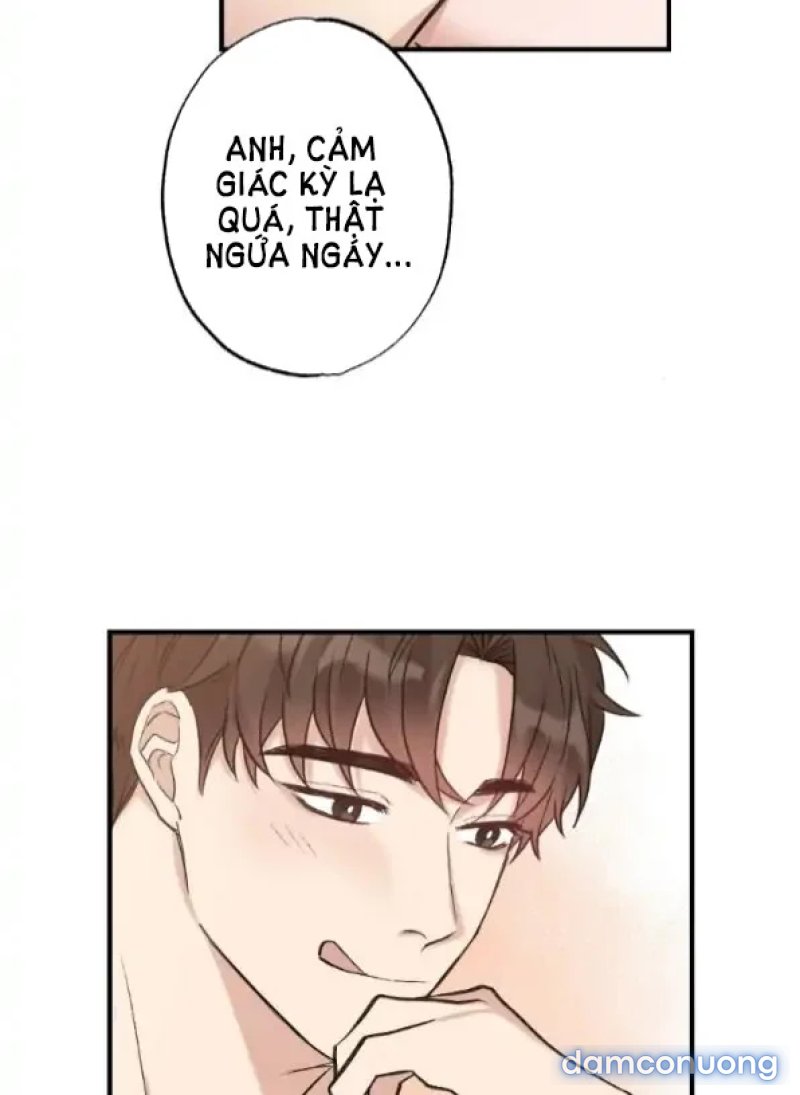 [18+] Dục Vọng Đen Tối 