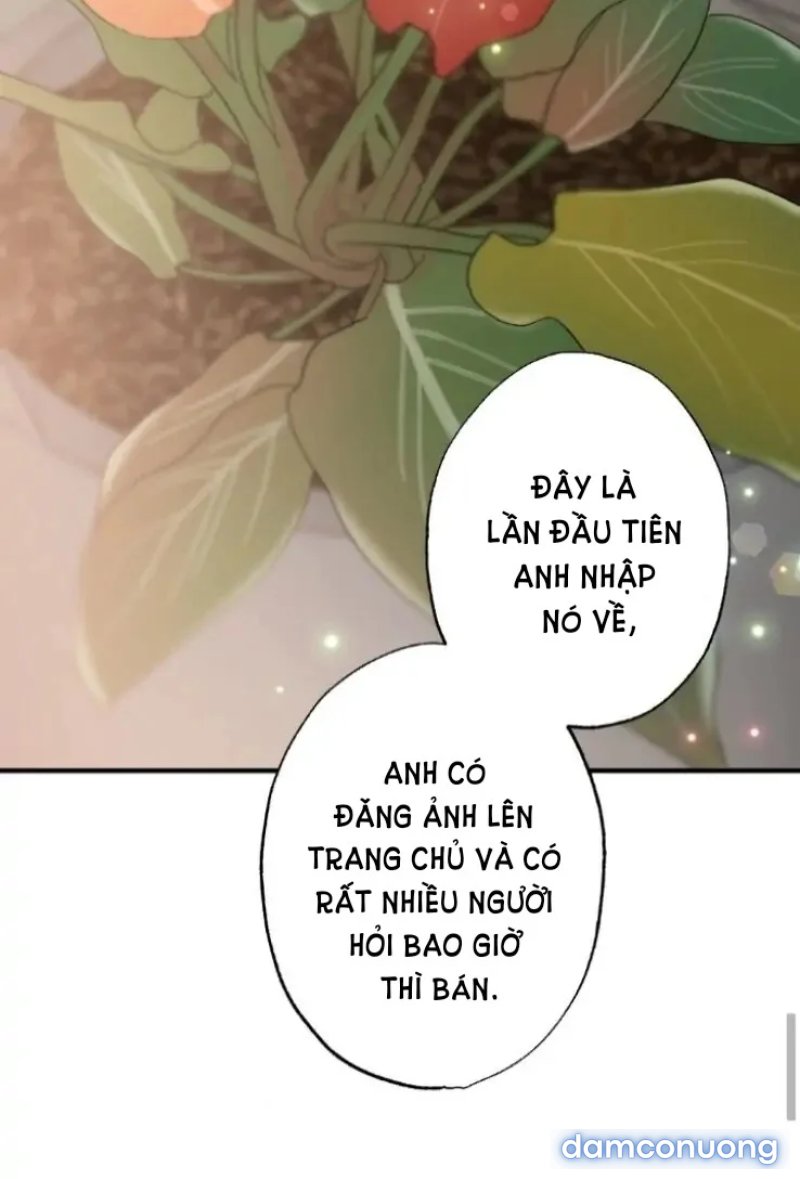 [18+] Dục Vọng Đen Tối 