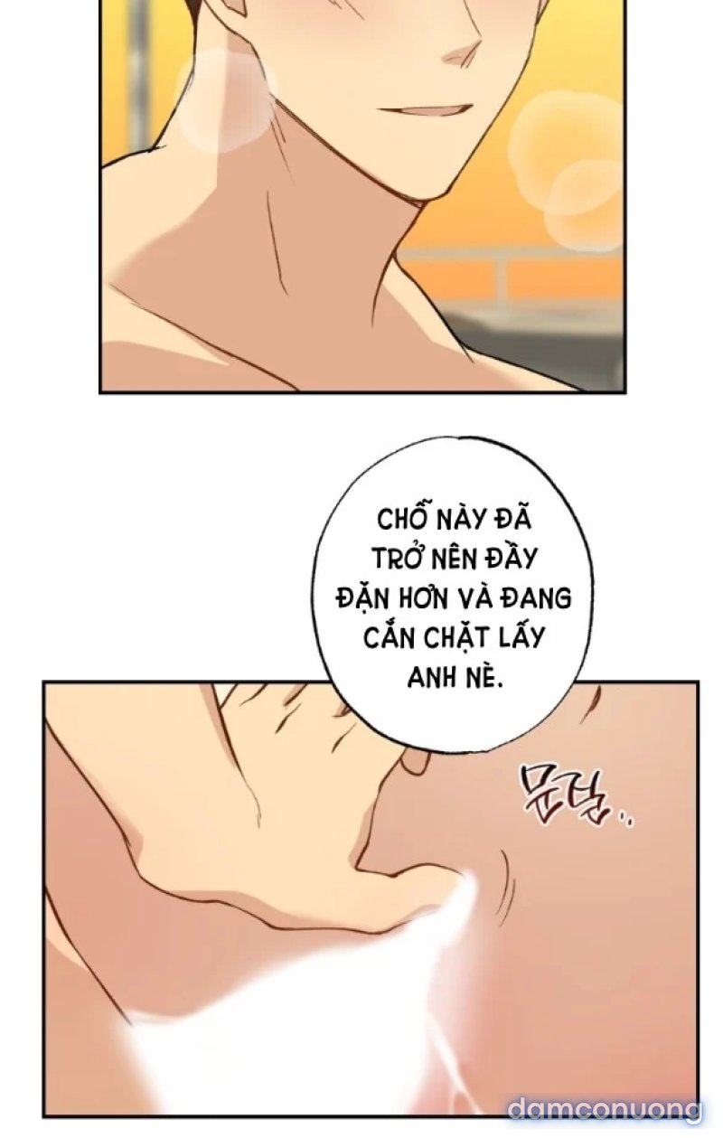 [18+] Dục Vọng Đen Tối 