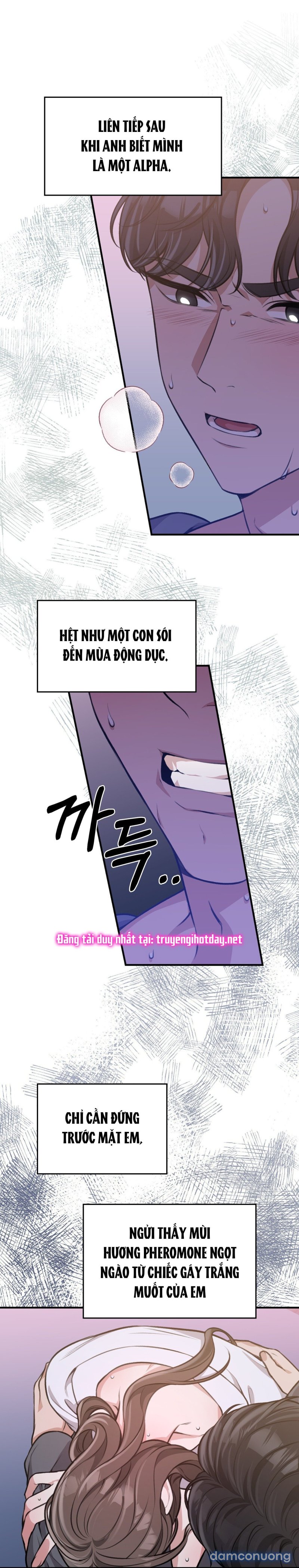 [18+] Cướp Dâu 