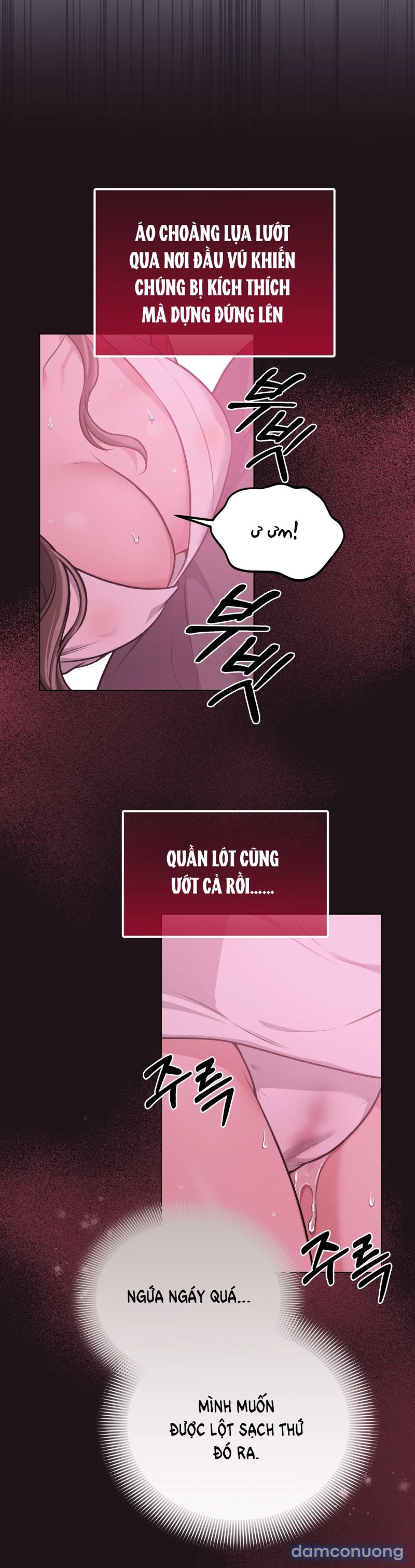 [18+] Cướp Dâu 