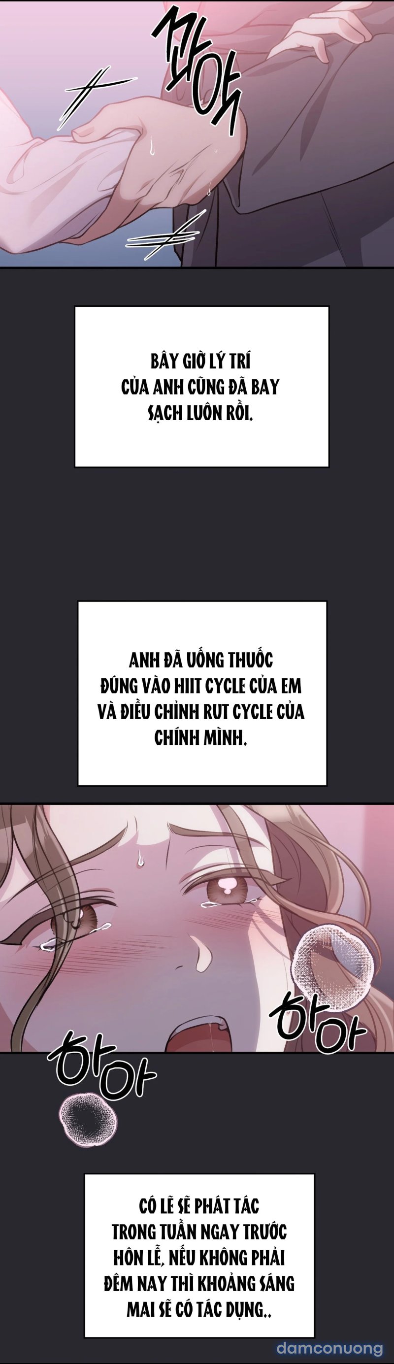 [18+] Cướp Dâu 