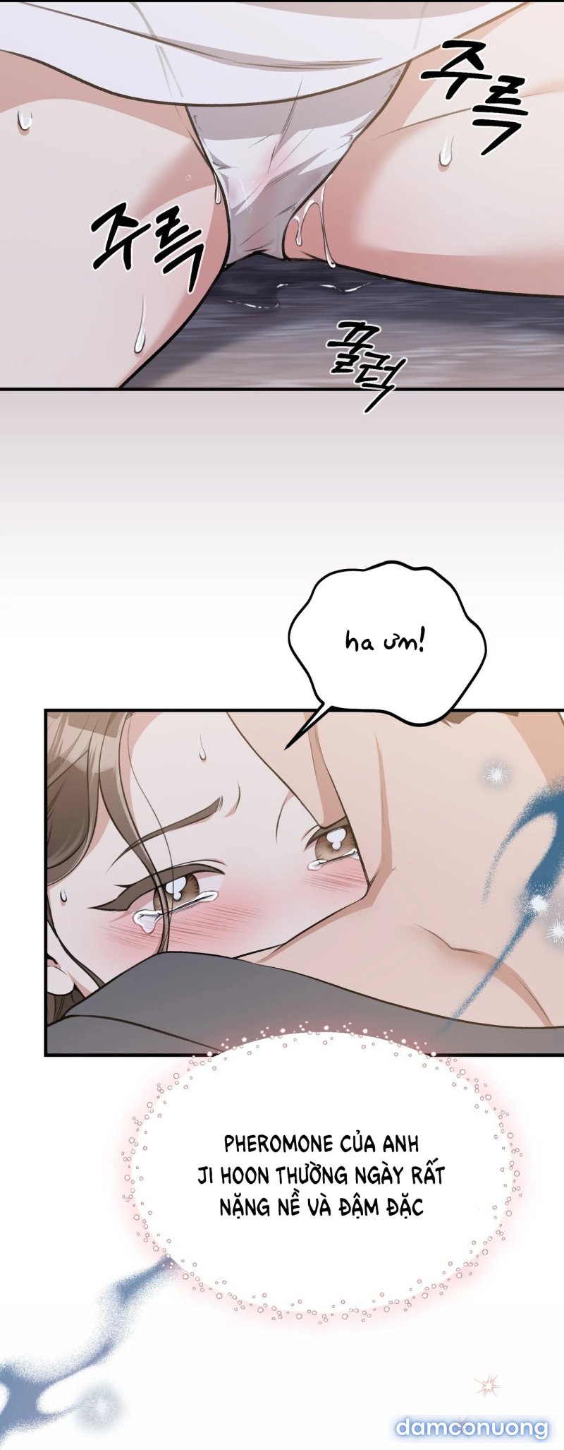 [18+] Cướp Dâu 