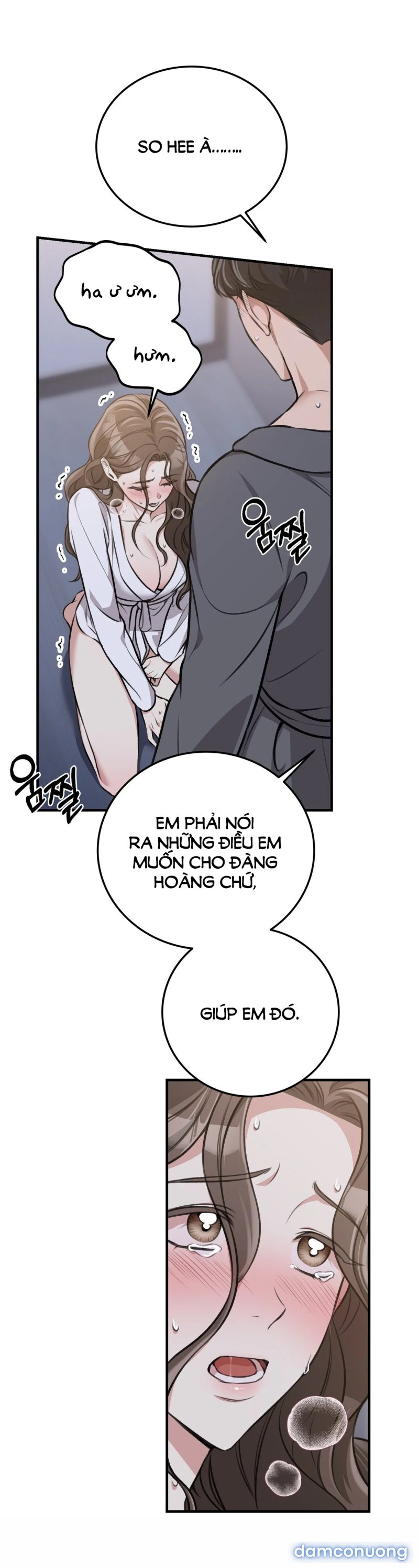 [18+] Cướp Dâu 