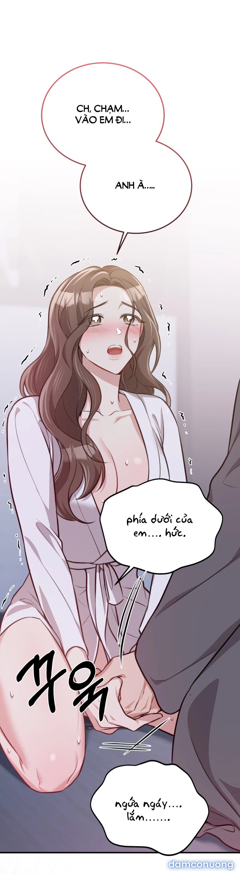 [18+] Cướp Dâu 