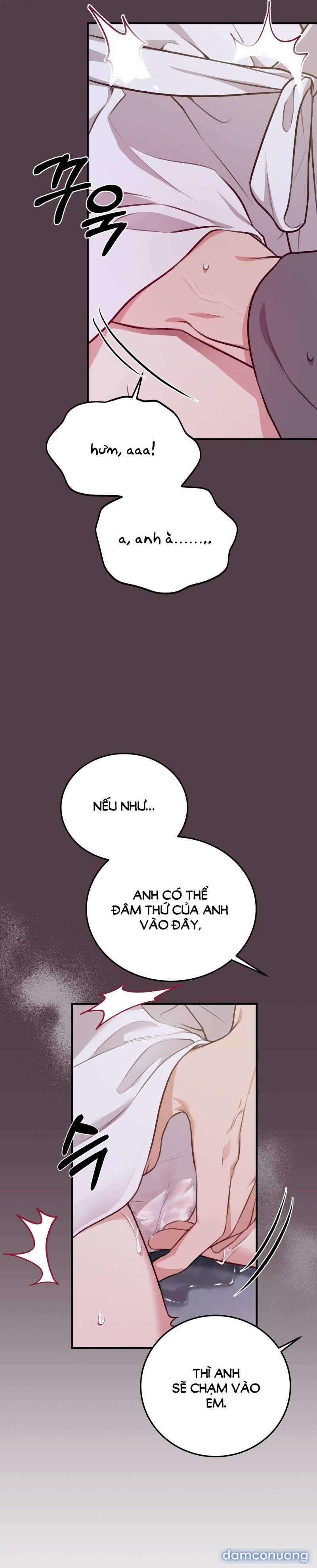 [18+] Cướp Dâu 