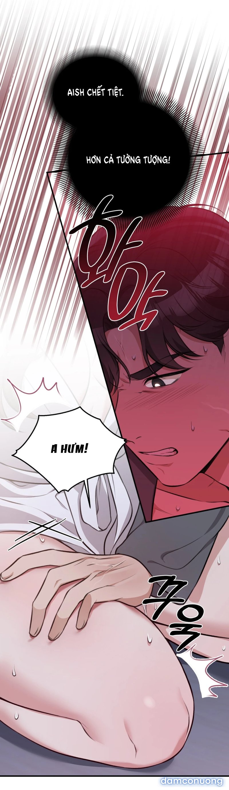 [18+] Cướp Dâu 