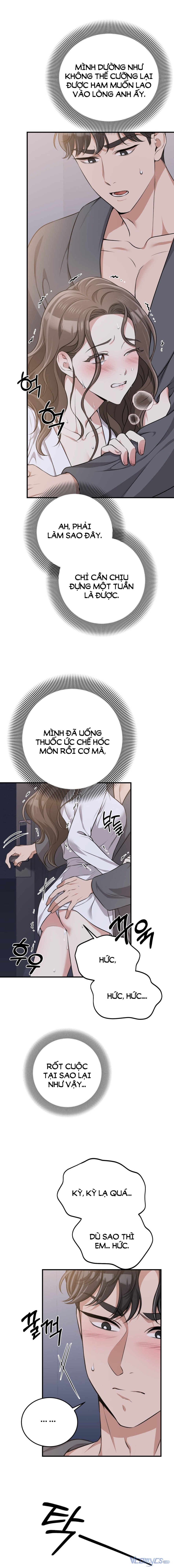 [18+] Cướp Dâu 